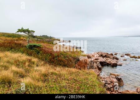 Canada Maritimes, Canada, Sud de Terre-Neuve. Baie de Coinoire, littoral. Banque D'Images