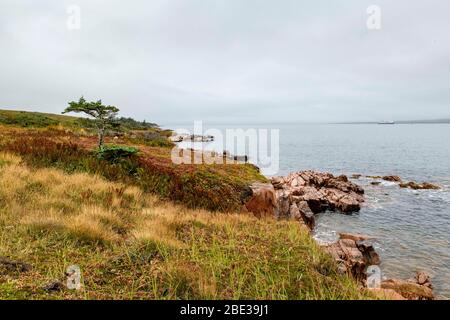 Canada Maritimes, Canada, Sud de Terre-Neuve. Baie de Coinoire, littoral. Banque D'Images