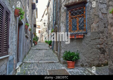 Une rue étroite entre les vieilles maisons de Guarcino, Italie Banque D'Images