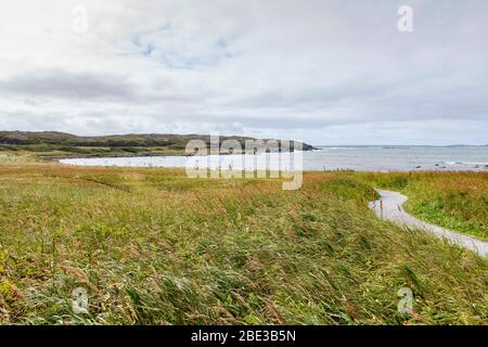 Canada, Nouvelle terre fondatrice, l'Anse aux Meadows (la baie avec les prés). Site archéologique datant d'environ 1000 ans, site du patrimoine mondial. Banque D'Images