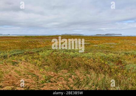 Canada, Nouvelle terre fondatrice, l'Anse aux Meadows (la baie avec les prés). Site archéologique datant d'environ 1000 ans, site du patrimoine mondial. Banque D'Images