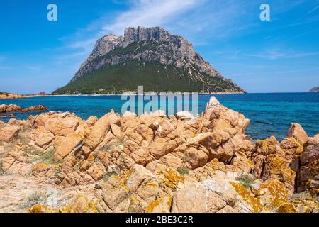 Vue panoramique sur les falaises et les pentes du massif principal, le pic de Monte Cannone, de l'île Isola Tavolara vue depuis la réserve naturelle de Spalmatore di Terra sur Tyrrh Banque D'Images