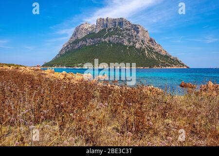 Vue panoramique sur les falaises et les pentes du massif principal, le pic de Monte Cannone, de l'île Isola Tavolara vue depuis la réserve naturelle de Spalmatore di Terra sur Tyrrh Banque D'Images