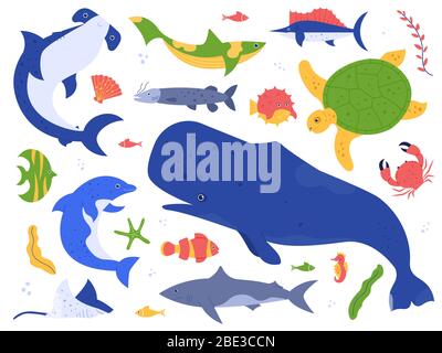 Espèces d'animaux marins. Les animaux marins dans leur habitat naturel. Ensemble d'illustrations vectorielles de baleines, dauphins, requins et tortues mignons. Pack monde sous-marin. Eau Illustration de Vecteur