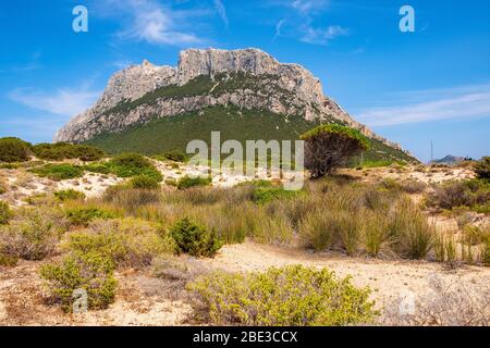 Vue panoramique sur les falaises et les pentes du massif principal, le pic de Monte Cannone, de l'île Isola Tavolara vue depuis la réserve naturelle de Spalmatore di Terra sur Tyrrh Banque D'Images