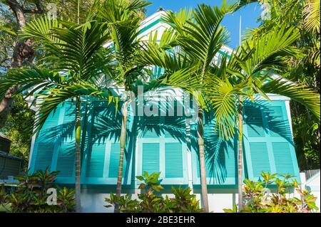 Volets de plage turquoise avec palmiers à Key West Banque D'Images