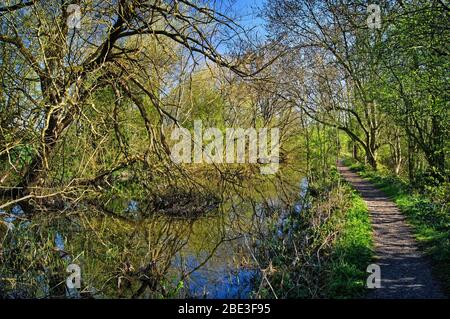 Royaume-Uni, Yorkshire du Sud, Barnsley, canal Elsecar et sentier pédestre