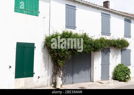 Village Saint Martin de Re sur Ile de Re, France avec maison blanche et obturateur gris vert Banque D'Images