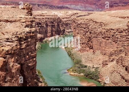 Colorado River au ferry de Lee dans la zone de loisirs nationale de Glen Canyon Banque D'Images