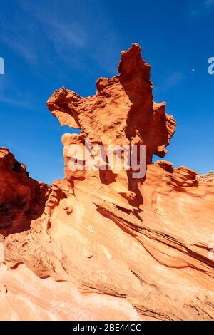 Little Finland au Monument national de Gold Butte, Nevada Banque D'Images