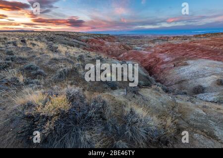 Bassin de Bighorn dans le nord-ouest du Wyoming coucher de soleil sur la steppe de sagbrush Banque D'Images