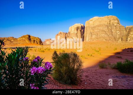 Jordanie, dans le Wadi Rum la vallée spectaculaire du désert pittoresque. Banque D'Images