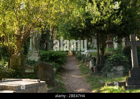 La lumière du soleil filtre à travers les arbres sur un sentier pédestre au cimetière Highgate, Londres, Angleterre, Royaume-Uni. Banque D'Images