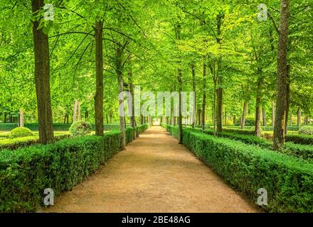 Sentier bordé de haies et d'arbres dans un jardin et un parc paysagers luxuriants ; Aranjuez, Madrid, Espagne Banque D'Images