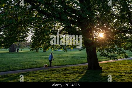 Londres, Royaume-Uni. 11 avril 2020. Une femme marche son chien à la Primrose Hill à Londres, Grande-Bretagne, le 11 avril 2020. Le nombre de morts chez les personnes hospitalisées en Grande-Bretagne qui ont testé le positif pour le nouveau coronavirus a atteint 9 875 vendredi après-midi, ce qui a marqué une augmentation quotidienne de 917, a déclaré le ministère de la Santé et des soins sociaux samedi. Samedi matin, le nombre de cas confirmés de COVID-19 en Grande-Bretagne a atteint 78,991, a déclaré le département. Crédit: Han Yan/Xinhua/Alay Live News Banque D'Images