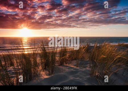 Coucher de soleil sur une plage le long de la côte atlantique française, avec des dunes en premier plan ; Lacanau, France Banque D'Images