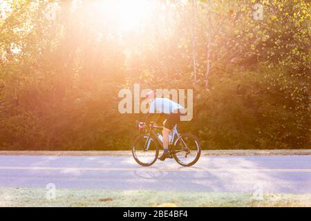 Cycliste sur une route aux rayons lumineux du soleil qui filtre les arbres, près du pont Trace Nachez; Franklin, Tennessee, États-Unis d'Amérique Banque D'Images