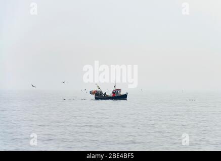 Bateau de pêche sur l'océan dans des conditions brumeuses avec des mouettes qui volent et nagent autour de lui; South Shields, Tyne et Wear, Angleterre Banque D'Images