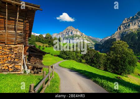 Sentier rural étroit avec des lodges en bois, des champs verts et des montagnes en arrière-plan, village de Grindelwald, Oberland bernois, Suisse, Europe Banque D'Images