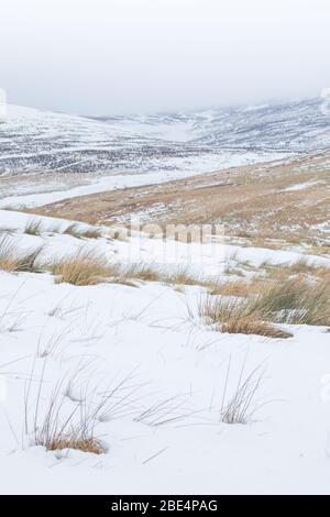 Une couche de neige fraîche sur les landes et les collines au-dessus d'Ingram et de la vallée du Breamish sur la montée de Hedgehope Hill dans le parc national de Northumberland Banque D'Images