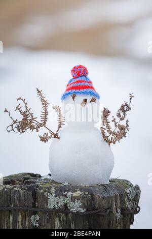Mini bonhomme de neige avec un chapeau de laine à rayures bleues et des fougères pour les bras, assis sur un poteau de clôture avec de la neige tout autour d'un hiver Banque D'Images