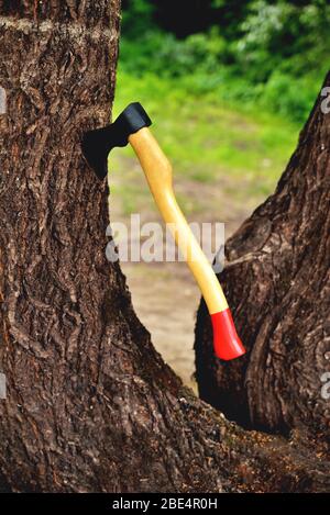 une hache en forme de magnifique s'encolle dans un arbre, avec une poignée jaune près, sur un fond naturel Banque D'Images