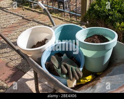 Les gants de jardinage se trouvent sur des pots de fleurs avec du sol dans la brouette au printemps. Gros plan. Banque D'Images