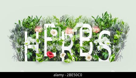 Concept d'herbes et de fleurs créatives. Diverses herbes et fleurs bordent sur fond de menthe clair. Texte. Mot. Lettres Banque D'Images