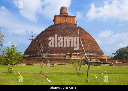 Ancien temple bouddhiste - Jetavana Dagoba une journée ensoleillée. Anuradhapura. Sri Lanka Banque D'Images