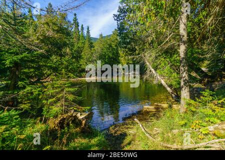 Vue de la rivière Sainte-Anne-du-Nord, dans le Parc National de la Gaspésie, Gaspésie, Québec, Canada Banque D'Images