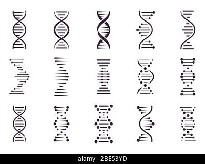 Icône d'ADN en spirale. Structure spiralée de molécule d'ADN, concept chromosomique de science médicale, symboles génétiques biologiques symboles isolés des icônes vectorielles Illustration de Vecteur