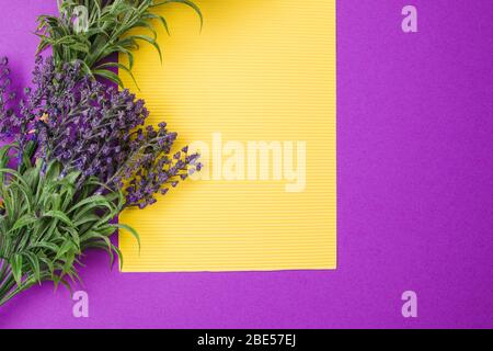 Papier jaune blanc avec fleurs de lavande sur fond violet Banque D'Images