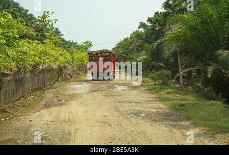 28 juillet 2018 Bengkulu, Sumatra, Indonésie : camion chargé de plantes de palmier pour l'industrie de l'huile de palme. Capturé de derrière les plantations de palmiers à l'intérieur sur la brume Banque D'Images