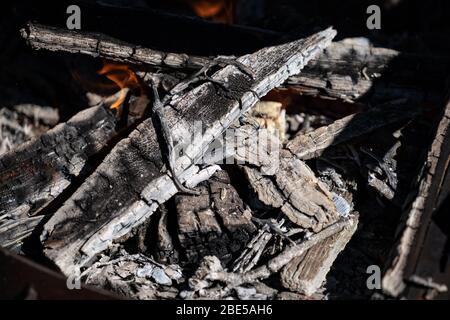 Morceaux de bois sombre brûlant dans une flamme orange-jaune dans le feu plein de cendres Banque D'Images