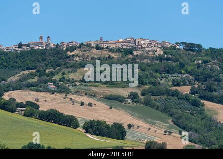 Paysage rural en été près de Monterubbiano, Fermo, Marches, Italie Banque D'Images