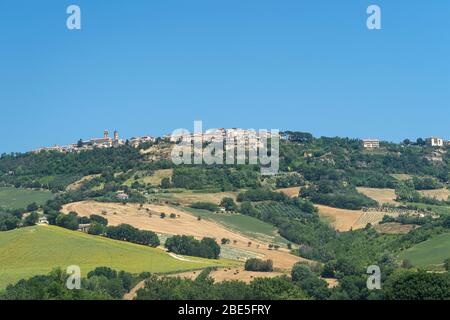 Paysage rural en été près de Monterubbiano, Fermo, Marches, Italie Banque D'Images