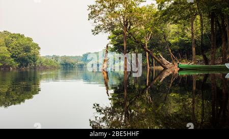 Forêt tropicale d'Amazonie près de Manaus, Brésil. Prise 2015. Des safaries et dormir la nature. Bateau et réflexion sur la rivière. Arbre et rive de rivière. Banque D'Images