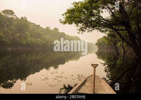 Fait en 2015 un safari en amazonie près de manaus, Brésil. Forêt tropicale amazonienne, rives de rivière et brouillard. Bateau et palette en bois, réflexion sur l'eau. Banque D'Images