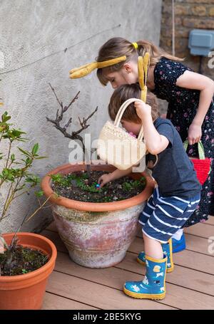 Benjamin,3, et Emily,9, sur une chasse aux œufs le dimanche de Pâques, confiné à son jardin arrière à Bromley, dans le sud de Londres, comme le Royaume-Uni continue de se maintenir pour aider à freiner la propagation du coronavirus. Banque D'Images