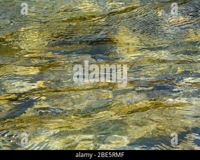 Rivière sauvage avec eau douce (Königseeache) Banque D'Images