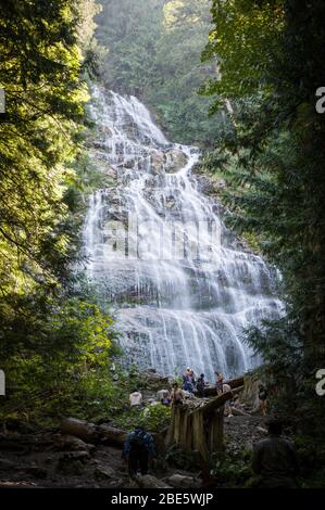 Chute d'eau de la Forêt de la veine mariée en Colombie-Britannique, Canada Banque D'Images