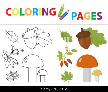 Page de livre de coloriage pour les enfants. Ensemble de forêts. Esquisse de contour et de couleur. Éducation des enfants. Illustration. Banque D'Images