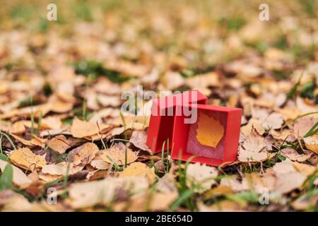 Boîte cadeau avec feuilles d'automne. Concept de fin de saison, espace de copie. Symbole de modification des prévisions météorologiques Banque D'Images