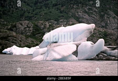 Icebergs à Halibut Cove, Homer, Alaska, États-Unis, un jour d'été. Banque D'Images