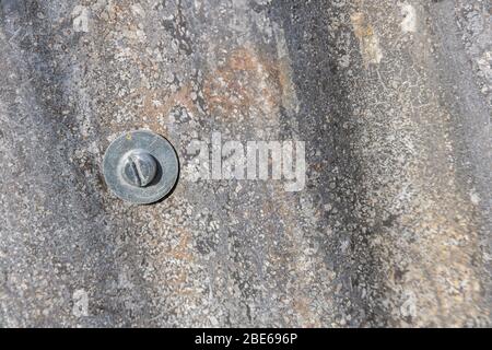 Tôle d'acier ondulé qui a vu de meilleurs jours et tête de boulon de fixation avec rondelle métallique. Banque D'Images
