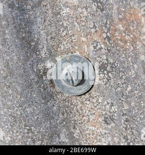 Tôle d'acier ondulé qui a vu de meilleurs jours et tête de boulon de fixation avec rondelle métallique. Banque D'Images