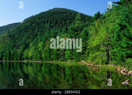 Bubble Pond, parc national Acadia, Maine Banque D'Images