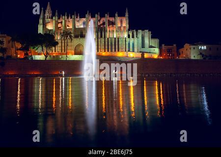 Catedral de Mallorca et fontaine illuminée la nuit Banque D'Images