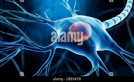 Gros plan d'un soma de cellules nerveuses ou neurone avec noyau, myéline et dendrites illustration de rendu tridimensionnel sur un fond bleu. Neuroscience, microbiologie, Banque D'Images