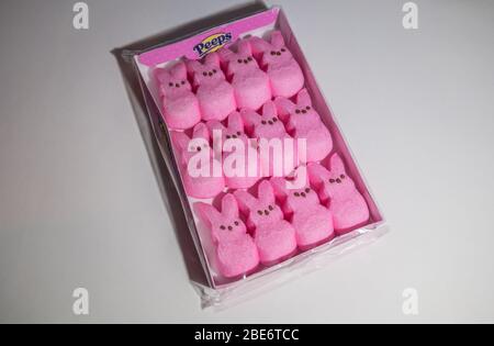 Un paquet inutilisé de lapins guimauves roses Peeps sur fond blanc Banque D'Images